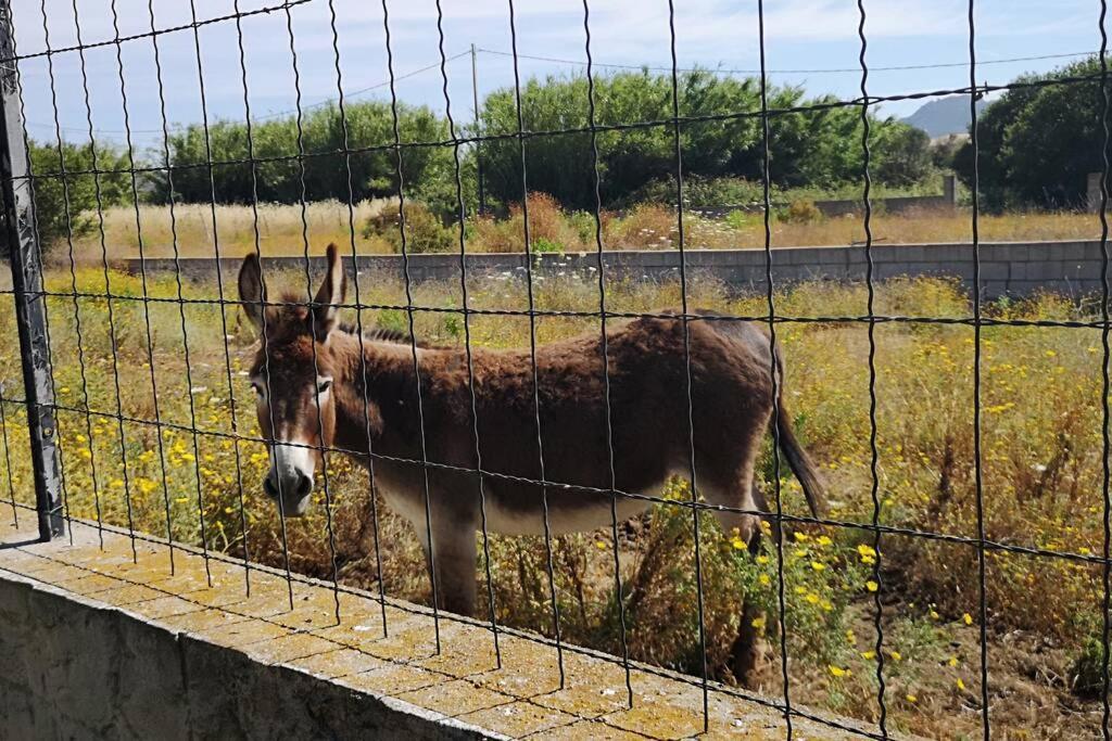 Cottege Pegaso Villa Olbia Bagian luar foto